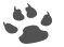 Kittens and Cats